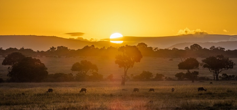 maaasai mara park.jpg