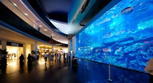 dubai-aquarium-main