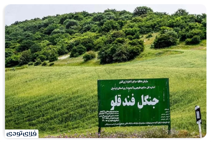 گردنه حیران جنگل فندقلو