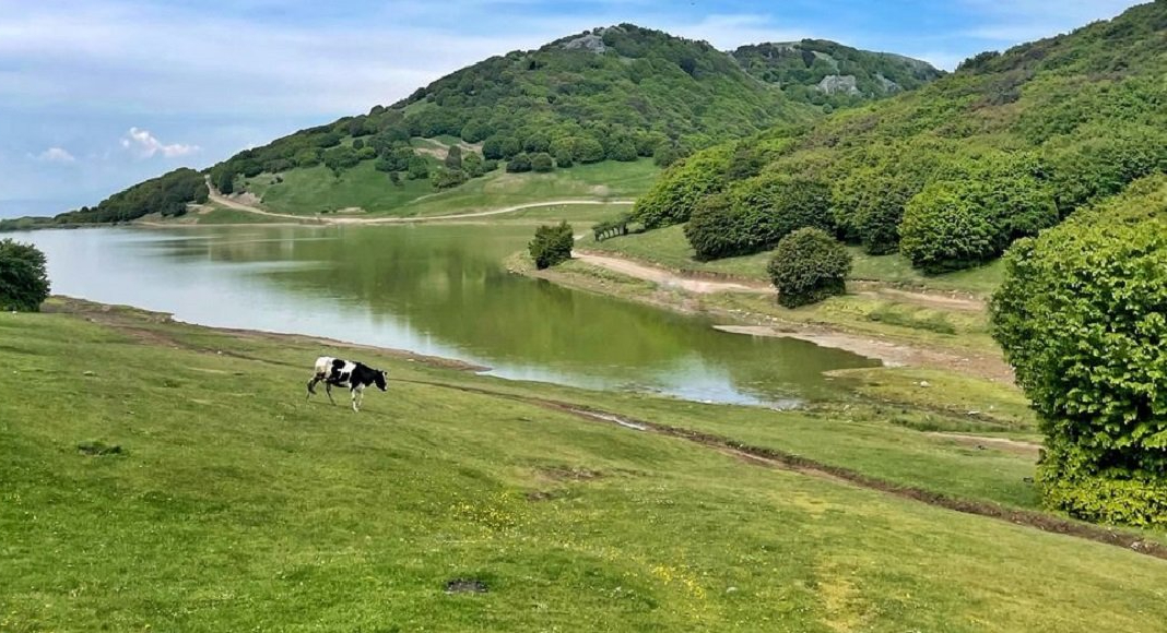 جنگل فندقلو (۱) جنگل فندقلو اردبیل