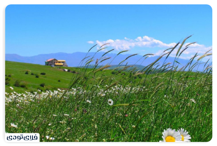 جنگل فندقلو طبیعت جنگل فندقلو