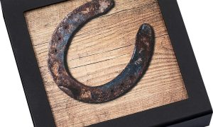 Horseshoe is a symbol of good luck.jpg