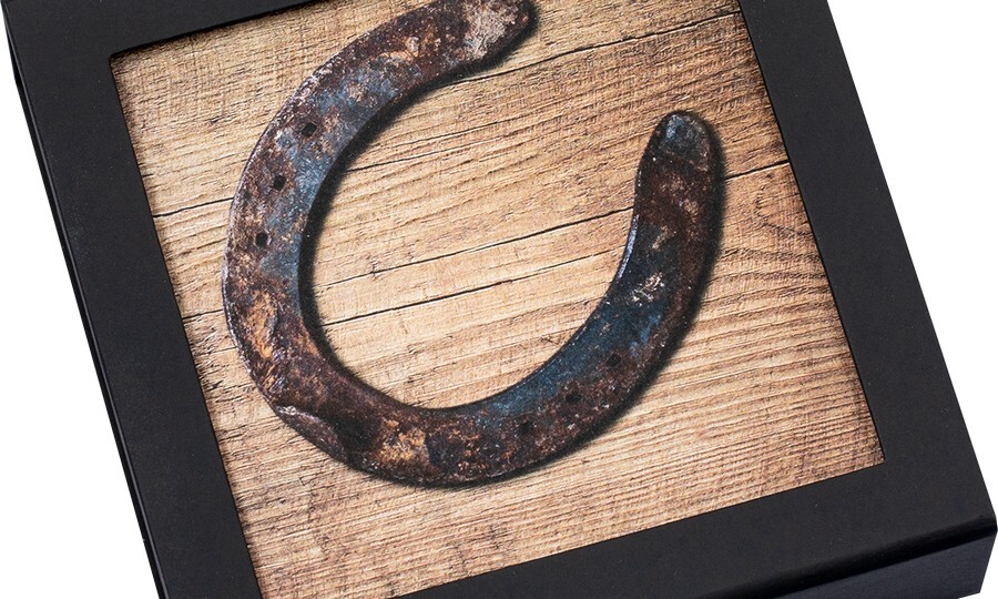 e5j4tbg9ductszkvz4hlndakbrgcvuvkodsbiiov Horseshoe is a symbol of good luck.jpg