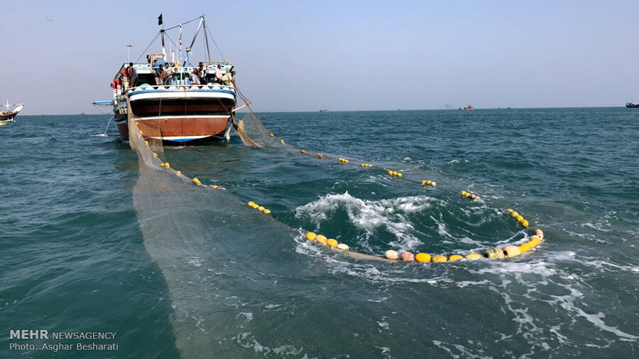 irlyt9tqyongtv76bztvswhfbsb5c1a7mtzrpliu lastsecond.ir-qeshm-food-price-fish.jpg