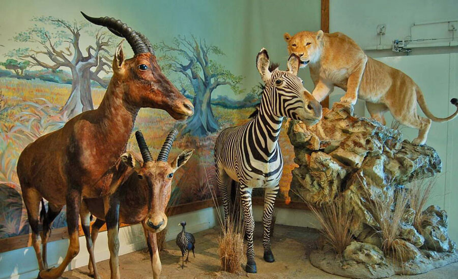 tuy6q16fqdr4b3uiyfh7cvb2njr9hhtoyyn8vfsv Lastsecond.ir-children-attractions-in-tehran-darabad-museum.jpg