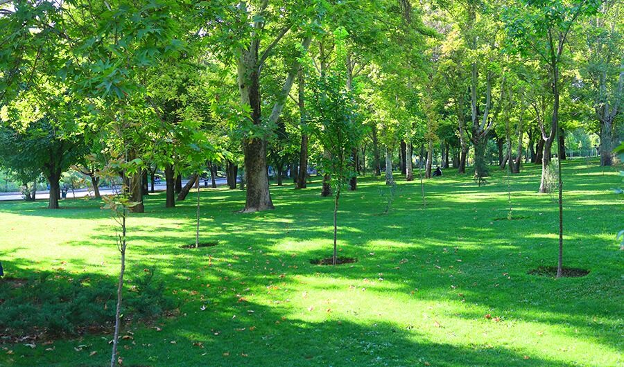 پارک ملت از دیدنی های شهر تهران Lastsecond.ir-tehran-best-attractions-mellat-park.jpg