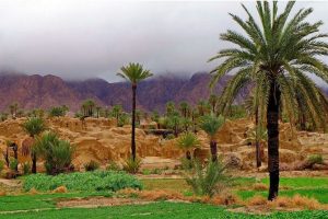 ازمیغان.jpg