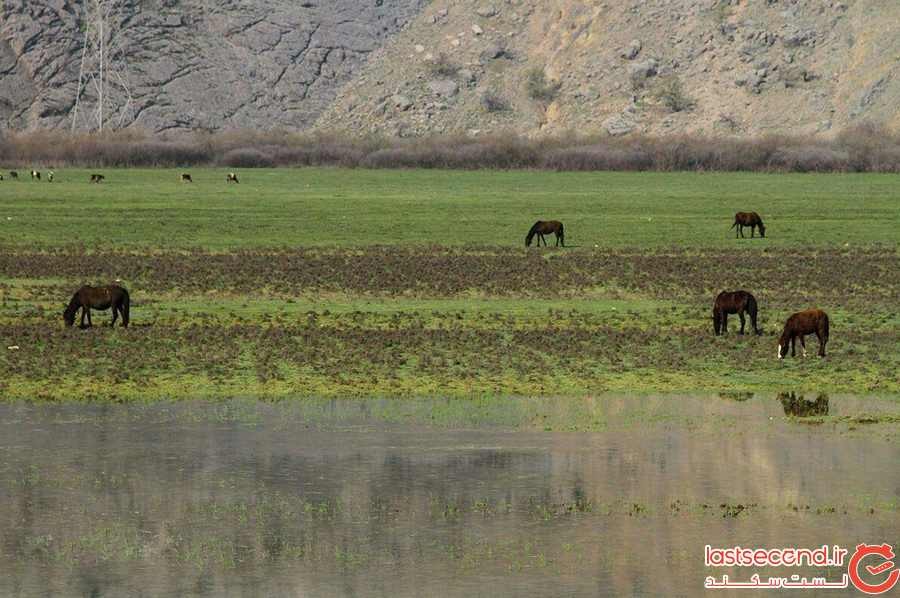 تالاب شیمبار دشت شیمبار