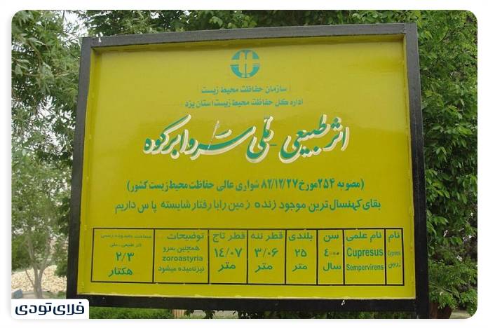 سرو ابرکوه مشخصات سرو ابرکوه یزد