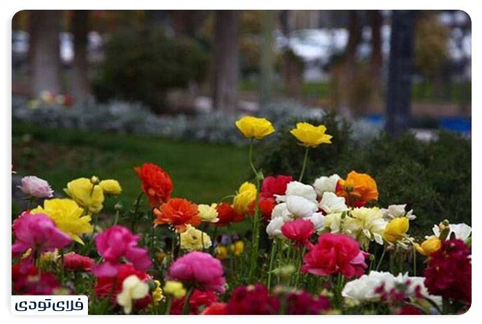 جاهای دیدنی سنندج جاهای دیدنی سنندج | از طبیعت تا تاریخ