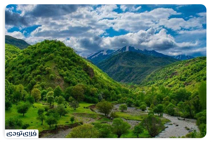 جاهای دیدنی پیرانشهر جنگلهای پردانان