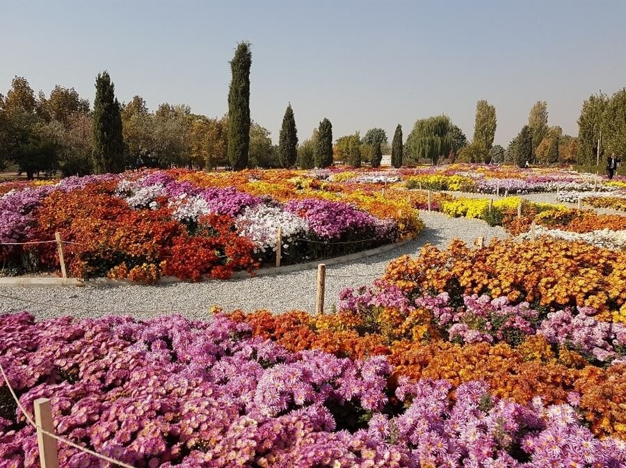 jx8tsbino3lw2rcyvi2pyd0m9twmnbcrkxsmmtrq Lastsecond.ir-tehran-best-attractions-bagh.jpg