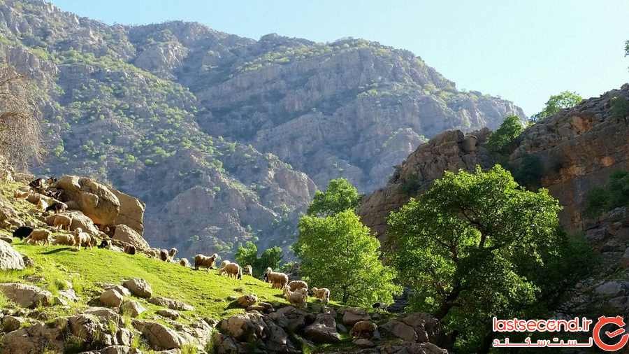 منظره شیمبار دشت شیمبار