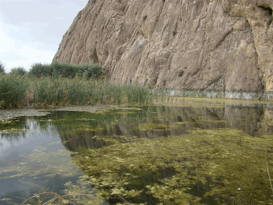 wpnzqm2y1e9tcljfdkjaz0gv5kpc5a24ulztkvbd 19114_2_760px.gif