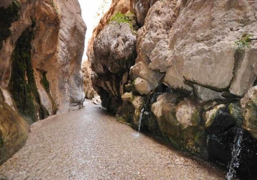 zahkfsfu1iqjbthtjr2ybbb4rhzrwfbdofouv0d9 مرتضی علی.jpg