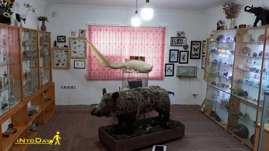 485hslirf0ztppzd9hxmrc3d0jf3votrmwq6kbpa historik nature museume ramsar By in today.jpg