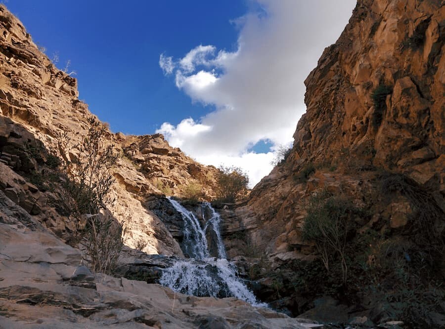 برگ جهان.jpg