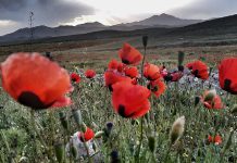 جاهای دیدنی مرند | کشف گنجینه پنهان آذربایجان جاهای دیدنی مرند