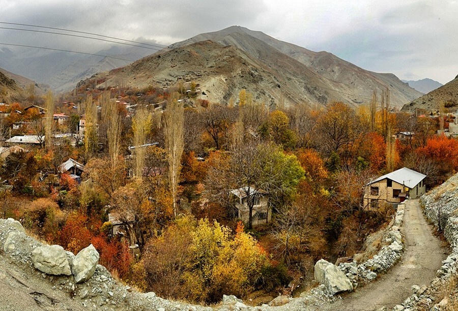 امامه.jpg