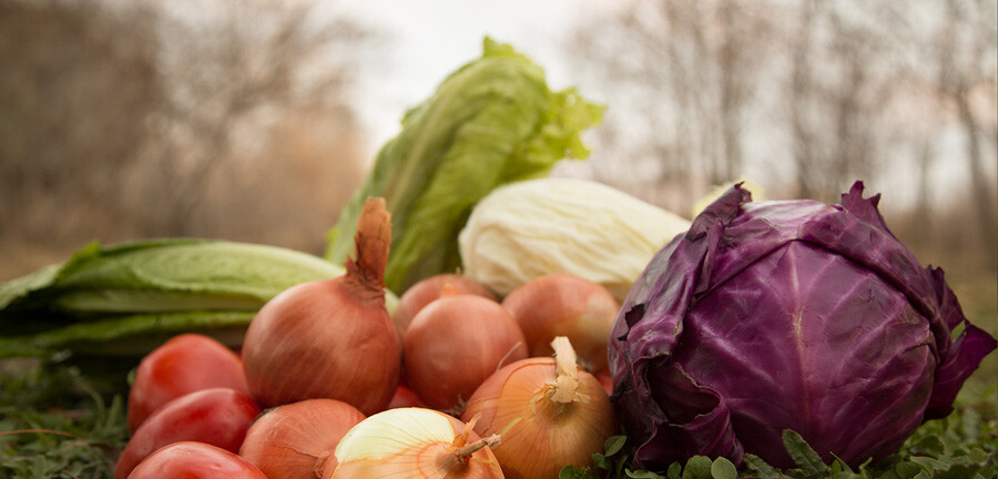 lkuvwzq9kes7awswxn95qcoynbybhnb59gwrktd9 lastsecond.ir-food-price-in-oman-onions1.jpg