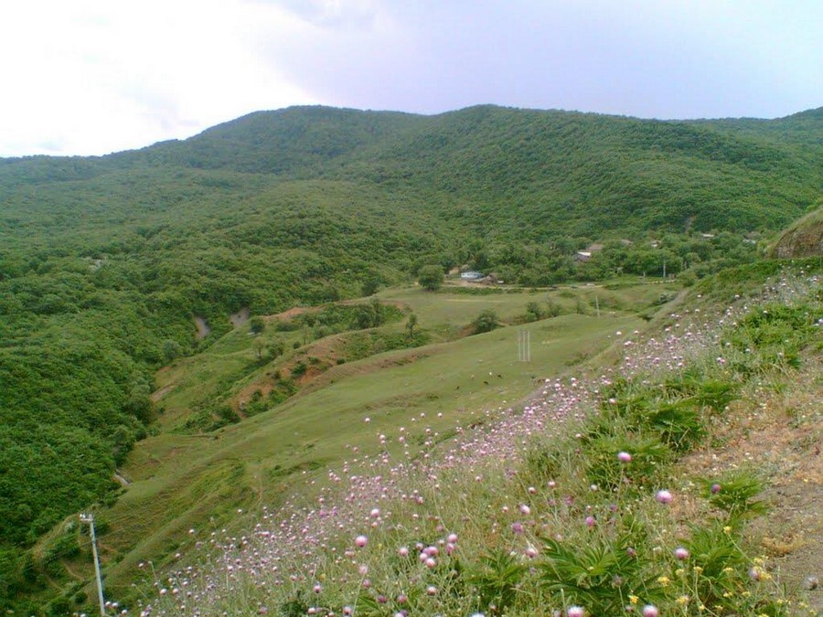 افجه.jpg