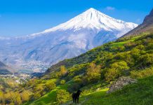 سفر به دشت آزو | فرصتی برای فرار از هیاهوی تهران دشت آزو مازندران