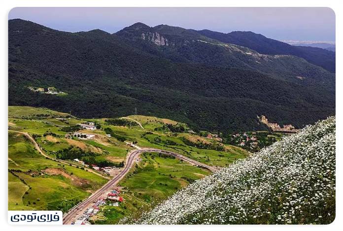جاهای دیدنی اردبیل جنگل فندقلو اردبیل