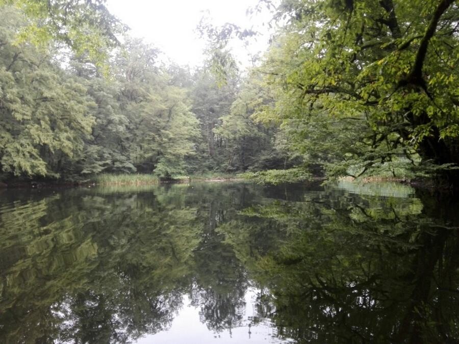 Lastsecond.ir-seven-destinations-for-a-one-day-trip-around-tehran-farakhin-lake-Loli.jpg