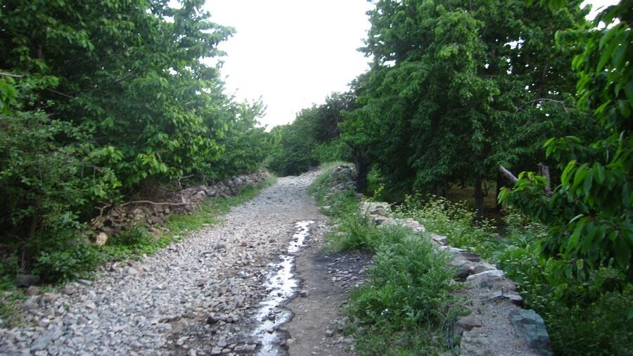 Lastsecond.ir-seven-destinations-for-a-one-day-trip-around-tehran-afje-village.jpg