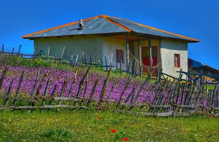 pgy54gauzvnbhpcvznp5uci0hmc6k0jycvc4n4ld soubatan in Spring.jpg