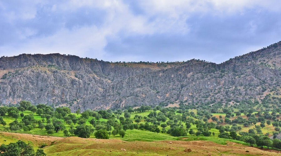 chahar-mahal-and-bakhtiari-iran-helen-protected-area-13-photo-by-farid-atar-panoramio-user-1252316.jpg